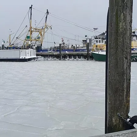 بيت ضيافة Hunsingo Texel