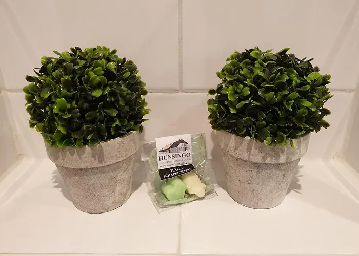 Hunsingo Texel 4* De Cocksdorp (Texel)