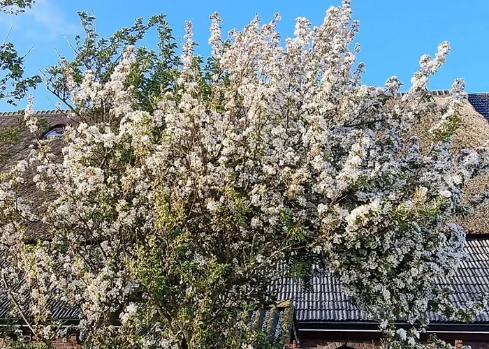 Penzion Hunsingo Texel