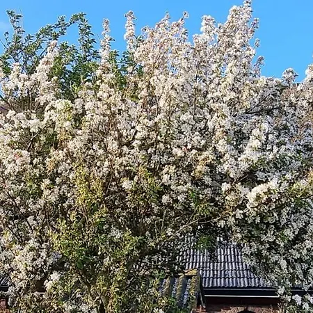Konukevi Hunsingo Texel