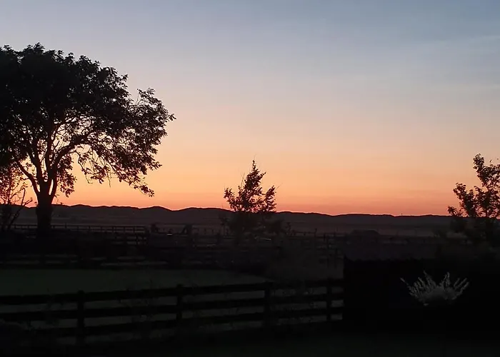 Hunsingo Texel 4* Де-Коксдорп