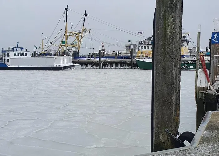 Гостевой дом Hunsingo Texel